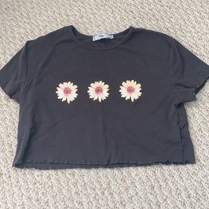 Adika Daisy Crop